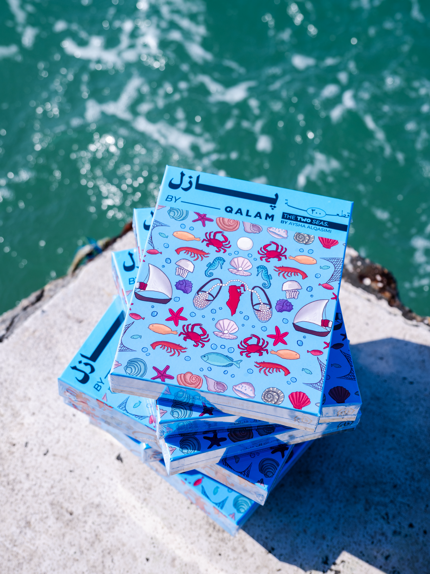The Two Seas Puzzle