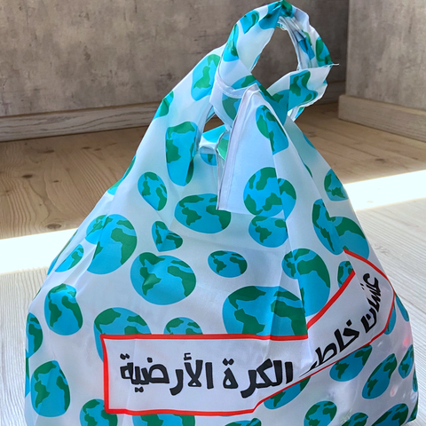 Earth reusable bag